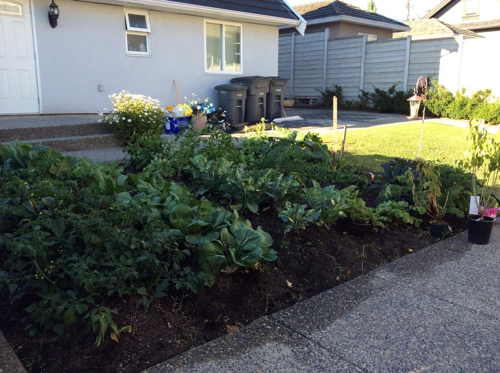 White House Bed And Breakfast Vancouver Bilik gambar